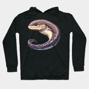 Eel in Pixel Form Hoodie